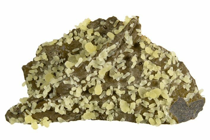 Globular Yellow Calcite Formations on Basalt - Italy #325624